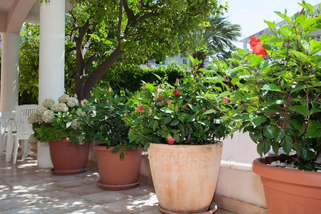 Aparthotel Villa Mozart Podgora Eksteriør bilde